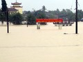 Trong khi hàng trăm hộ dân thuộc các huyện vùng trũng của Phú Yên hối hả chạy lũ, hàng ngàn người Quảng Ngãi gồng mình gánh lũ thì Bình Định, Quảng Nam gần như "thất thủ" trước lũ dữ (ảnh Tiến Sỹ, Binh Dinh Online)