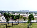 Một góc Dự án Khu đô thị Golden Hills tại phường Hòa Hiệp (quận Liên Chiểu) do Công ty Cổ phần Trung Nam đầu tư chưa nộp tiền sử dụng đất