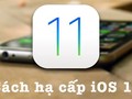 Nếu cảm thấy iOS 11 Beta không phù hợp hoặc gặp quá nhiều lỗi, bạn có thể hạ cấp về iOS 10.3.3 hoặc 10.3.2 mà không lo bị mất dữ liệu.