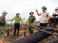 Ông Lê Trí Thanh,Phó Chủ tịch UBND tỉnh Quảng Nam và các ngành chức năng tại hiện trường vụ phá rừng ở Tiên Lãnh (Tiên Phước, Quảng Nam)