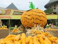 Diễn ra từ ngày 1/10-31/10/2017, lễ hội Halloween tại Sun World Ba Na Hills với chủ đề “Xứ sở thần tiên” sử dụng hơn 10 tấn bí, ngô, táo để đem đến cho du khách những trải nghiệm khác lạ.