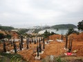 Sáng 6/12, tại TP Đà Nẵng, Phó Tổng Thanh tra Chính phủ Bùi Ngọc Lam cùng đoàn công tác đã tiến hành công bố Quyết định thanh tra toàn diện đối với các dự án đầu tư xây dựng trên bán đảo Sơn Trà