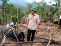 Lãnh đạo UBND tỉnh Quảng Nam đi kiểm tra hiện trường vụ phá rừng