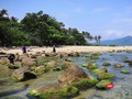 Đà Nẵng đã rà soát điều chỉnh quy hoạch dự án Khu du lịch sinh thái Nam Ô do Tập đoàn Trung Thủy làm chủ đầu tư từ 36ha chỉ còn 26ha. Tách ghềnh Nam Ô ra khỏi phạm vi dự án để bảo tồn khu vực sinh thái công cộng.