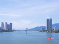 Trong nửa đầu năm 2018, tỷ lệ hấp thụ trung bình tương đối cao đạt 93% với lượng bán được cao hơn cùng kỳ năm trước gần ba lần