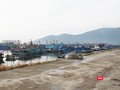 Thủ tướng Chính phủ vừa đồng ý dừng thực hiện Dự án đầu tư xây dựng tuyến luồng vào Khu bến cảng Thọ Quang, Cảng biển Đà Nẵng.
