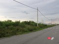 Hơn 10 năm nay, toàn bộ 65 lô đất (diện tích khoảng 3,2ha) của 32 nhà đầu tư tại Khu đông nam Đài tưởng niệm TP Đà Nẵng bị bỏ hoang vì những quyết định thu hồi bất thường của chính quyền