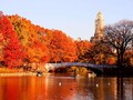 Công viên Central Park, Thành phố New York, Hoa Kỳ nhuốm màu vào thu (ảnh Adam Jeffery Photography)