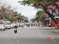 Một góc đường phố Đà Nẵng