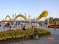 Vừa mới hoàn thành, đường hoa xuân Bạch Đằng ở Đà Nẵng đã chào đón rất đông người dân, du khách