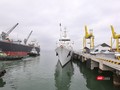Một góc Cảng Tiên Sa (Đà Nẵng)