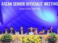 Đại diện Việt Nam trong vai trò chủ tọa Hội nghị Quan chức Cao cấp ASEAN (ASEAN SOM)