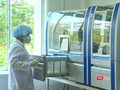 Hệ thống máy xét nghiệm Realtime PCR tự động đang được sử dụng ở CDC Quảng Nam