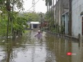 Các tình thành ở khu vực miền Trung bị ngập lụt nặng nề do ảnh hưởng của bão, lũ trong suốt tháng qua