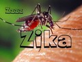 Tại Việt Nam đã phát hiện 5 trường hợp nhiễm virus Zika