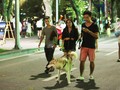 Chó không được dọ mõm dạo trong phố đi bộ.