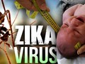 Tốc độ lây nhiễm vi rút Zika tại TP HCM cao.