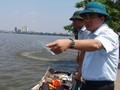 Ngay sau khi có hiện tượng cá Hồ Tây chết hàng loạt, Chủ tịch UBND TP Nguyễn Đức Chung đã đi kiểm tra.