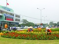 Công nhân Công ty cây xanh thành phố trang trí hoa tại khu vực nút giao thông cầu Rào, phục vụ Tết Nguyên đán Đinh Dậu 2017. (Ảnh: Báo Hải Phòng)