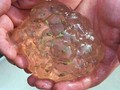 Một số bí ẩn mà khoa học chưa thể lý giải.