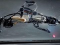 Các nhà khoa học Mỹ có thể cho ra đời robot chạnh nhanh hơn Usain Bolt.