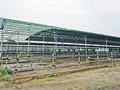 Một góc trại chăn nuôi bò của dự án chăn nuôi bò giống và bò thịt tại Hà Tĩnh do Công ty CP chăn nuôi Bình Hà thực hiện ở địa bàn huyện Kỳ Anh, tỉnh Hà Tĩnh bị bỏ hoang/ Ảnh: sggp.org.vn