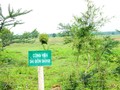 Công viên Sài Gòn Safari "treo" 15 năm. Ảnh: TP HCM