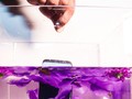 (ảnh: CNET)