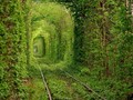 Nguồn: Bright Side