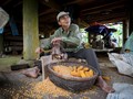 Bạn sẽ có những trải nghiệm mới mẻ khi du lịch tại Việt Nam và các nước châu Á khác thông qua ba ứng dụng du lịch hữu ích này. Ảnh: CSMP