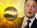 Elon Musk và Bitcoin có mối quan hệ chặt chẽ. 