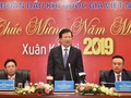 Phó Thủ tướng Trịnh Đình Dũng phát biểu tại buổi làm việc (Ảnh: VGP/Nhật Bắc)