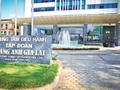 Ảnh minh họa (Nguồn: Internet)