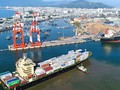 Thu hồi cổ phần Cảng Quy Nhơn kéo dài (Ảnh minh họa - Nguồn: Thanh Niên)
