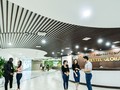 Ảnh minh họa (Nguồn: Internet)