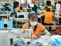 Hiệp định EVFTA được kỳ vọng mang lại tác động sâu rộng trong nền kinh tế Việt Nam (Ảnh minh họa - Nguồn: Internet)