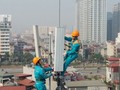 Ảnh minh họa (Nguồn: Internet)