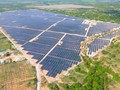Một dự án điện mặt trời tại Việt Nam có công suất lắp đặt 50 MW mà SEC đã thâu tóm (Ảnh: Super Energy Corporation)