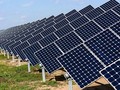 Khéo ‘lướt sóng’ dự án điện mặt trời như Nam Việt Energy (Ảnh minh hoạ)