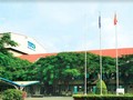 SBT kiếm bộn từ chứng khoán phái sinh