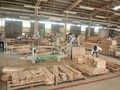 'Bóng' Lâm Việt Furniture tại nhà máy chế biến gỗ 4.400 tỉ ở Bình Định