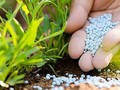 EVS: Triển vọng khả quan giúp kéo dài chu kỳ tăng giá của nhóm phân bón và hoá chất (Ảnh minh hoạ - Nguồn: Internet)