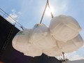 Xuất khẩu 80.000 tấn gạo, LTG lập kỷ lục doanh thu năm 2021