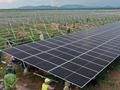 Các công ty điện mặt trời của Tập đoàn Xuân Thiện kinh doanh ra sao trong năm đầu tiên vận hành?