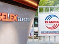 Trần Phú Cable làm cổ đông lớn của GEE