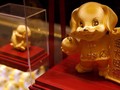 Bức Tượng vàng hình chú chó được dùng làm vật trang trí tại Hồng Kong để chào đón năm mới. Nhưng tại Malaysia, người dân lại tránh dùng các biểu tượng này trang trí cho năm mới. Ảnh: REUTERS/Tyrone Siu