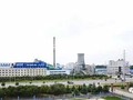 Nhà máy sản xuất lốp của Tập đoàn Vĩnh Thái vừa làm thủ tục phá sản