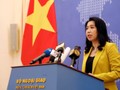 Bà Lê Thị Thu Hằng: Việt Nam đã thực hiện nhiều biện pháp ngoại giao, bao gồm đưa ra tuyên bố ngoại giao phản đối hành động của Trung Quốc, yêu cầu Trung Quốc rút tàu khỏi vùng biển Việt Nam. Ảnh: Đa Chiều.
