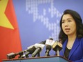 Người phát ngôn Lê thị Thu Hằng: hành động của tàu công vụ Trung Quốc đã xâm phạm chủ quyền của Việt Nam đối với quần đảo Hoàng Sa, gây thiệt hại về tài sản, đe dọa an toàn tính mạng và lợi ích hợp pháp của ngư dân Việt Nam (Ảnh: BNGVN).