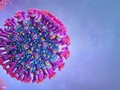 Lãnh đạo WHO cho biết biến chủng Delta đã lan ra 104 quốc gia và trở thành chủng virus chủ đạo trên thế giới (Ảnh: WHO).